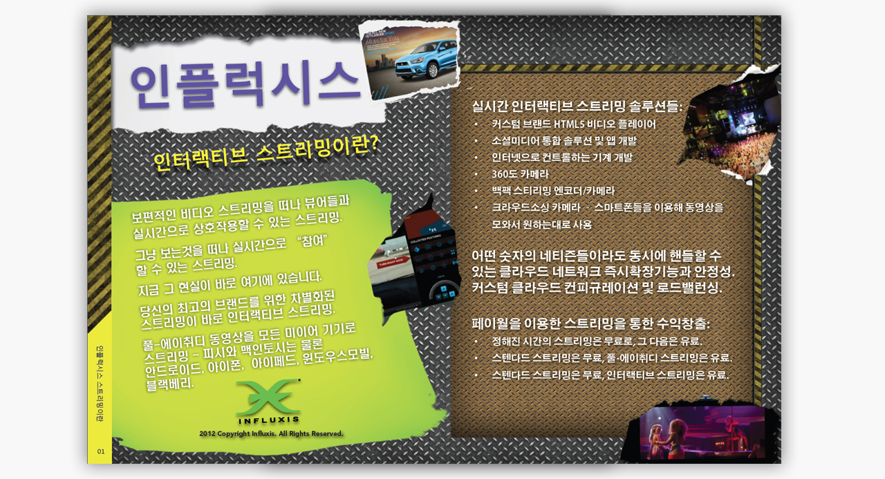 Influxis Korean Brochures